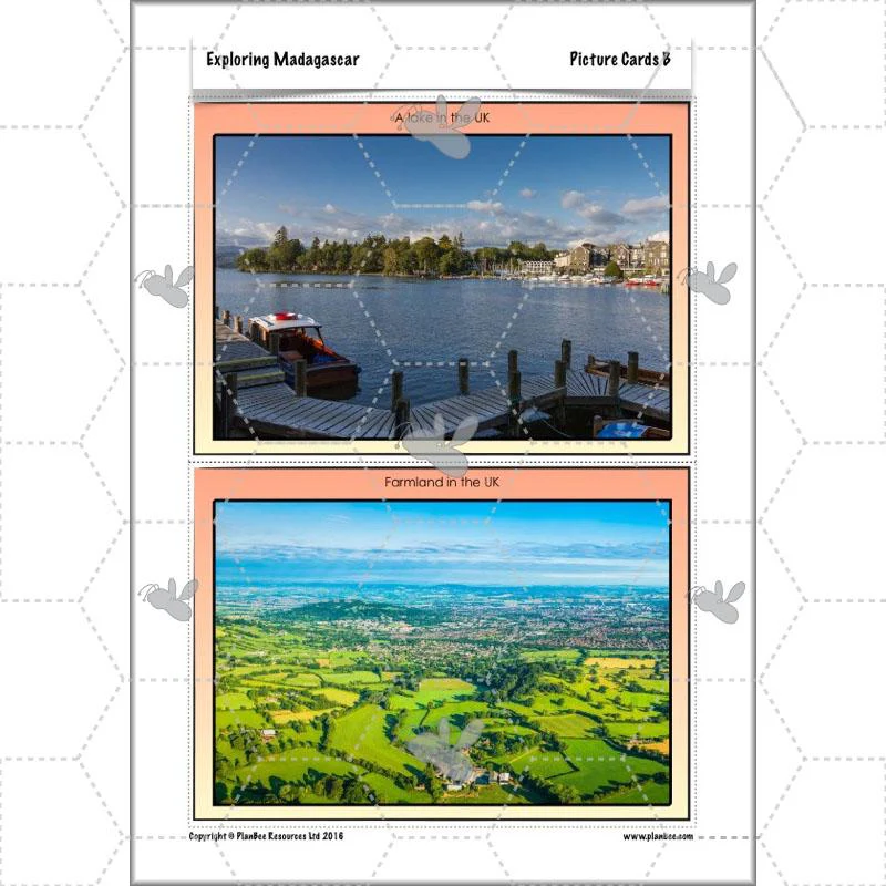 Exploring Madagascar - Image 48