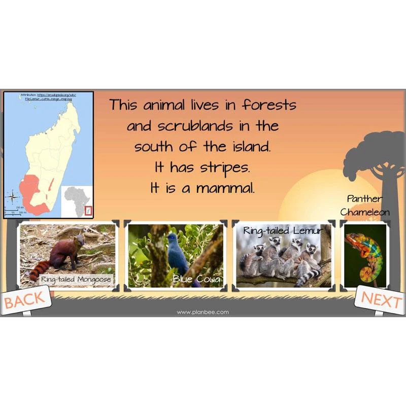 Exploring Madagascar - Image 59