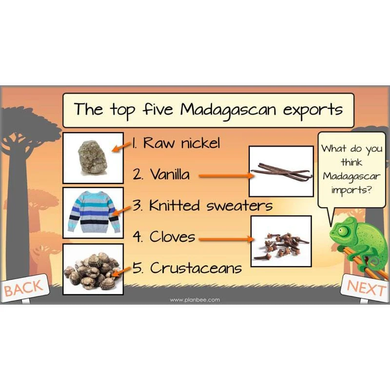 Exploring Madagascar - Image 72