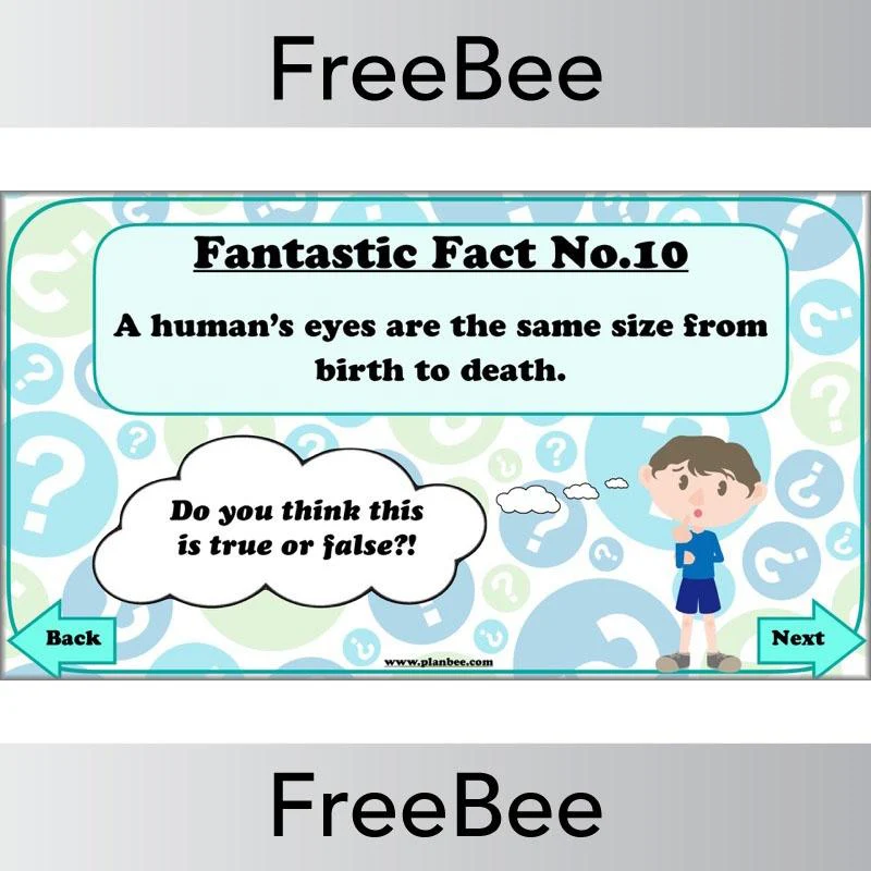 Fantastic Facts - True or False? - Image 13