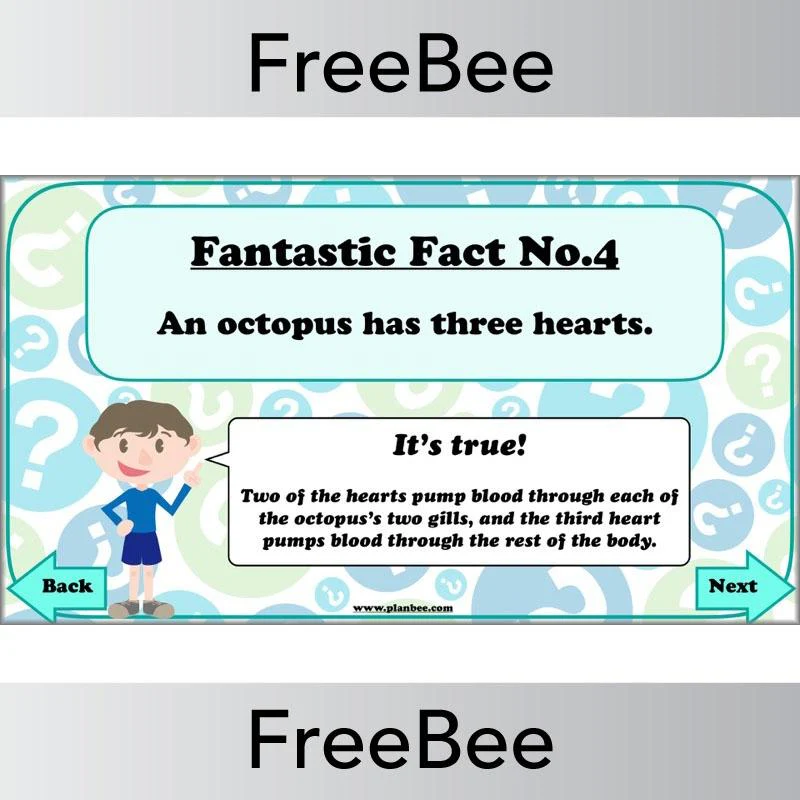 Fantastic Facts - True or False? - Image 22