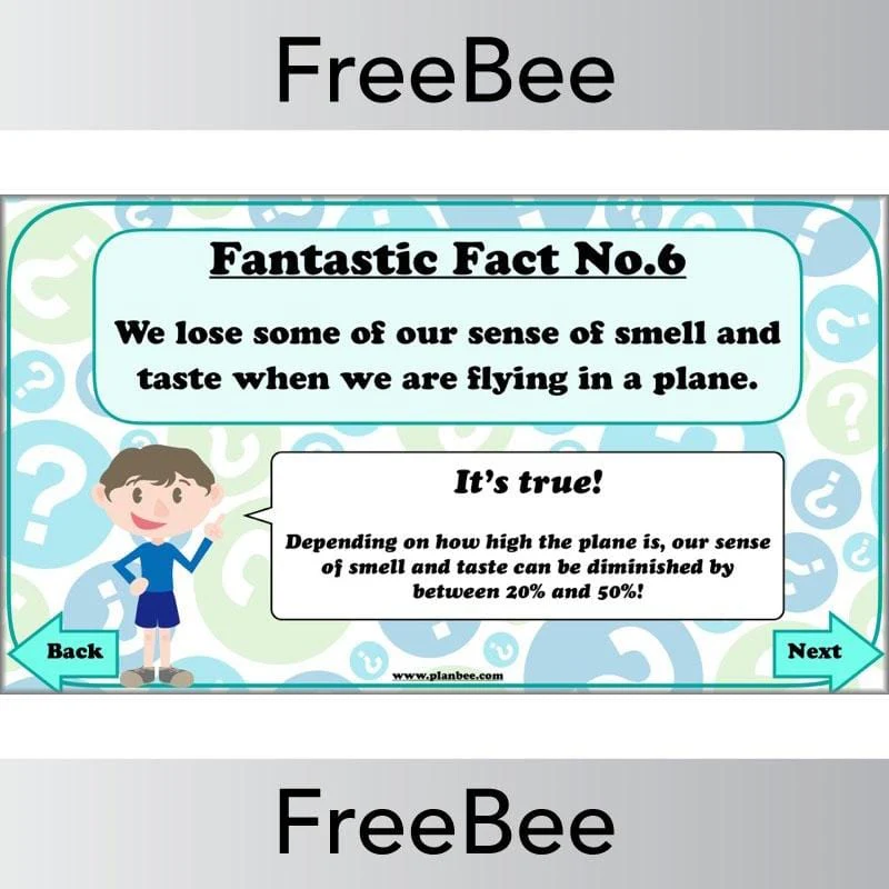 Fantastic Facts - True or False? - Image 5