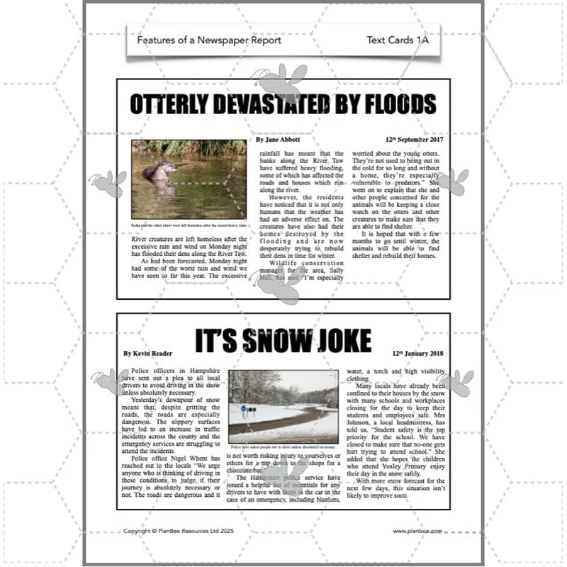Features of a Newspaper Report KS2 - Image 7