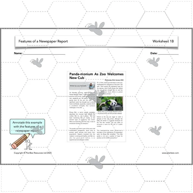 Features of a Newspaper Report KS2 - Image 9