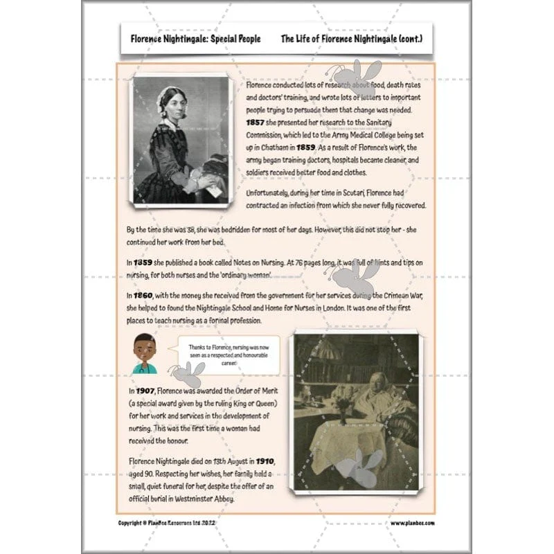 Florence Nightingale: The Lady with the Lamp - Image 9