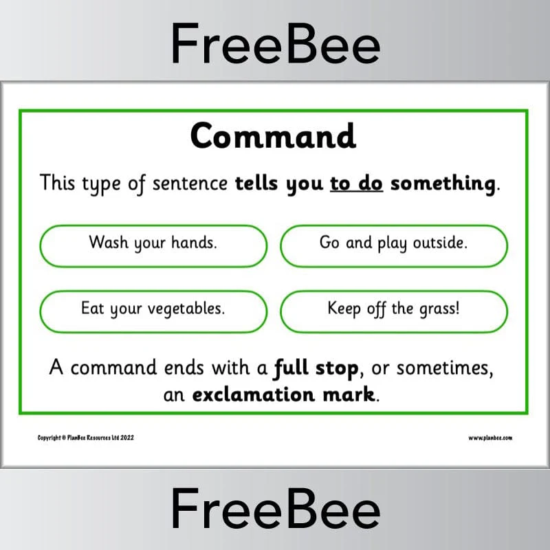 Four Types of Sentences Posters - Image 4