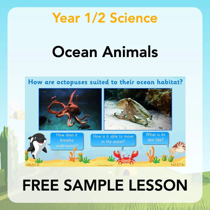 FREE Mini-Scheme: Ocean Animals