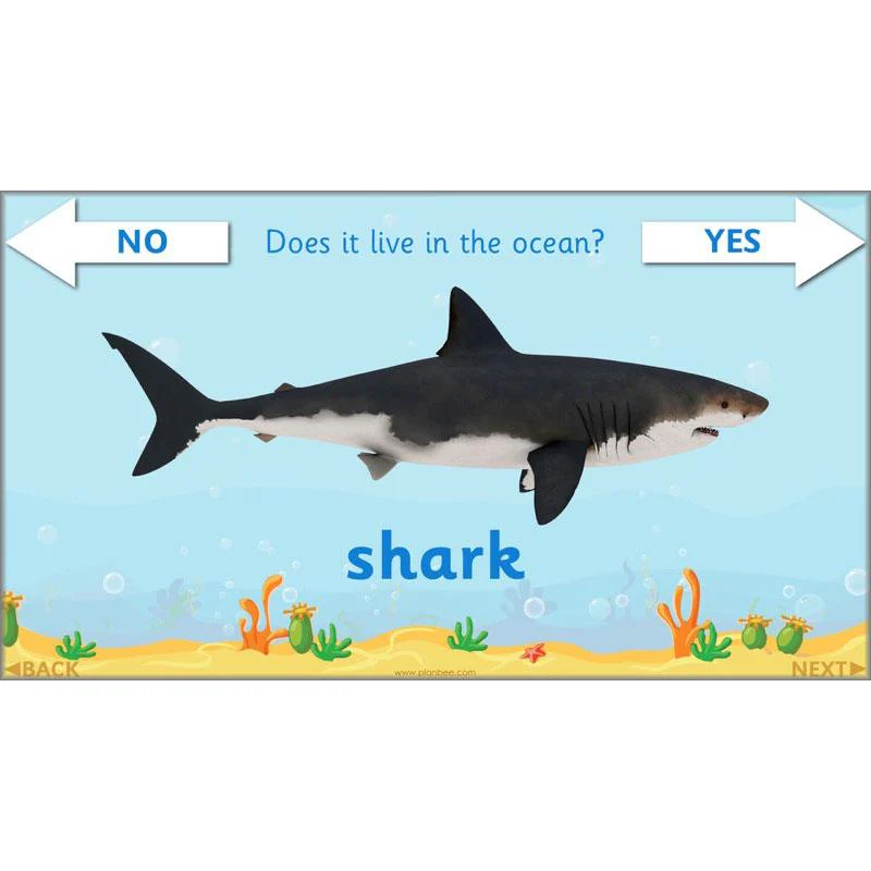 FREE Mini-Scheme: Ocean Animals - Image 14