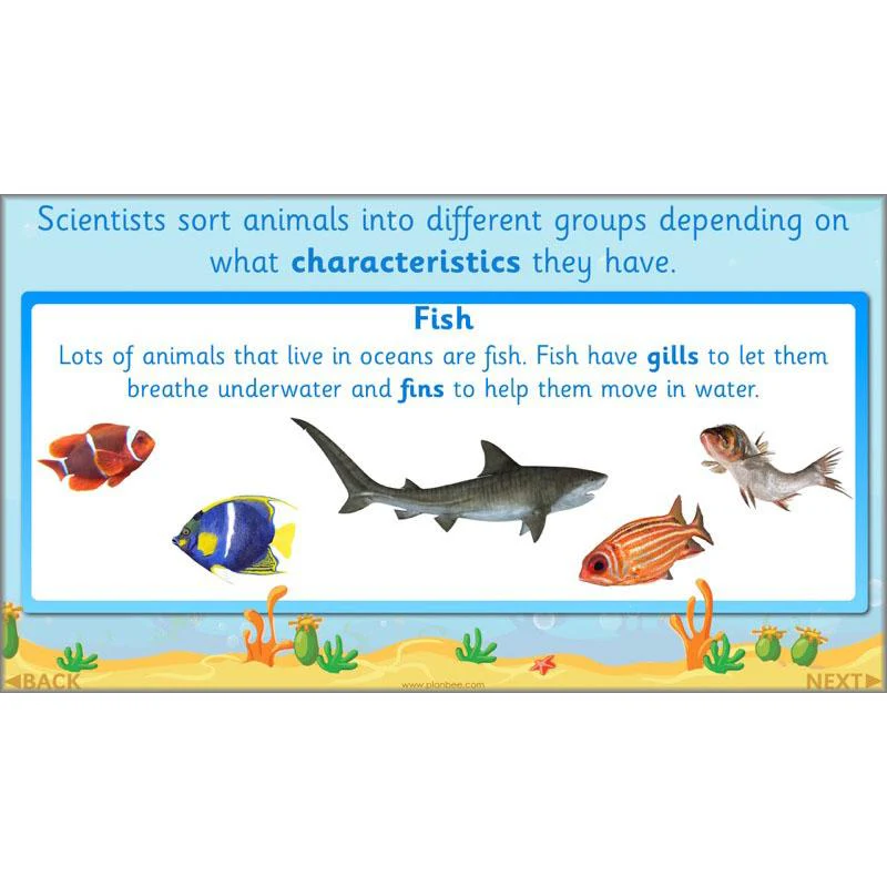 FREE Mini-Scheme: Ocean Animals - Image 16