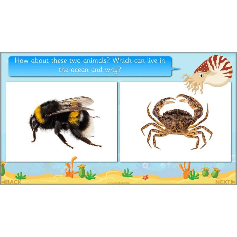 FREE Mini-Scheme: Ocean Animals - Image 30