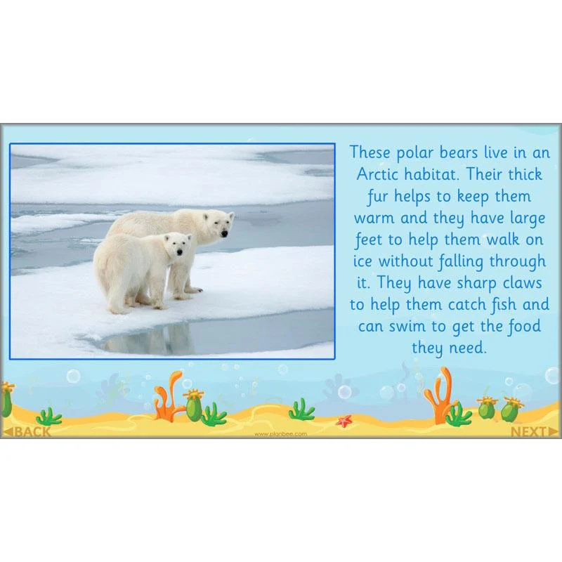 FREE Mini-Scheme: Ocean Animals - Image 32