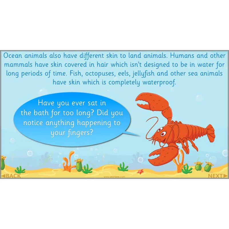 FREE Mini-Scheme: Ocean Animals - Image 33