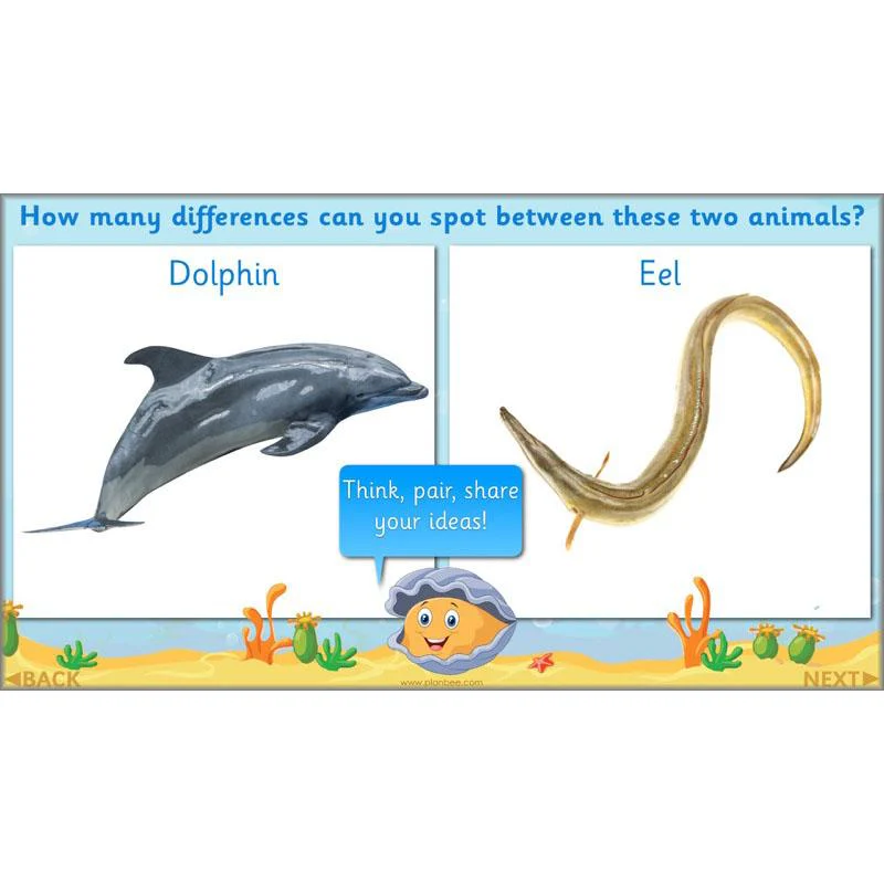 FREE Mini-Scheme: Ocean Animals - Image 5