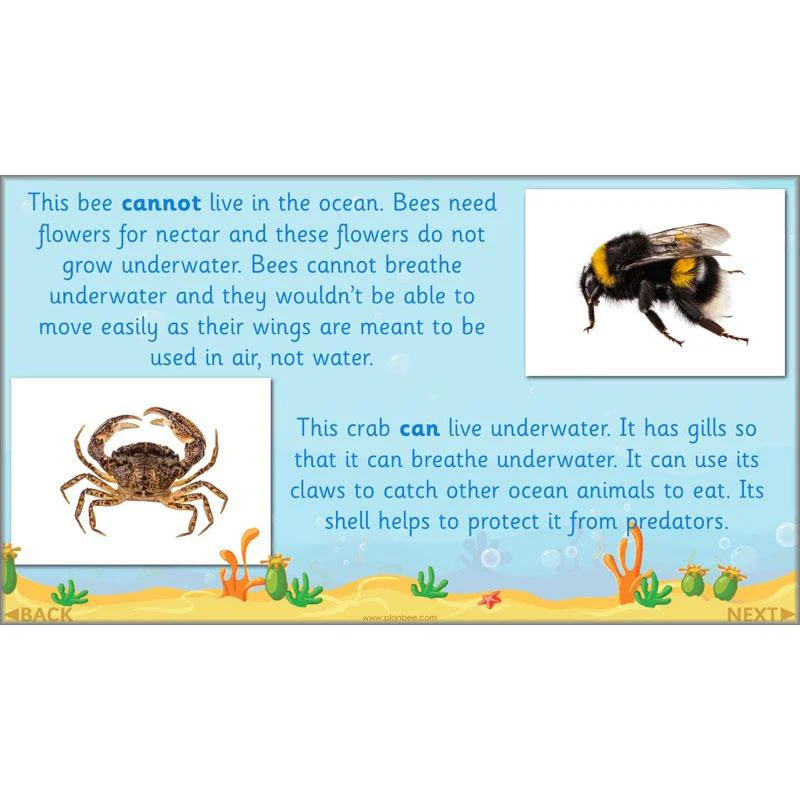 FREE Mini-Scheme: Ocean Animals - Image 6