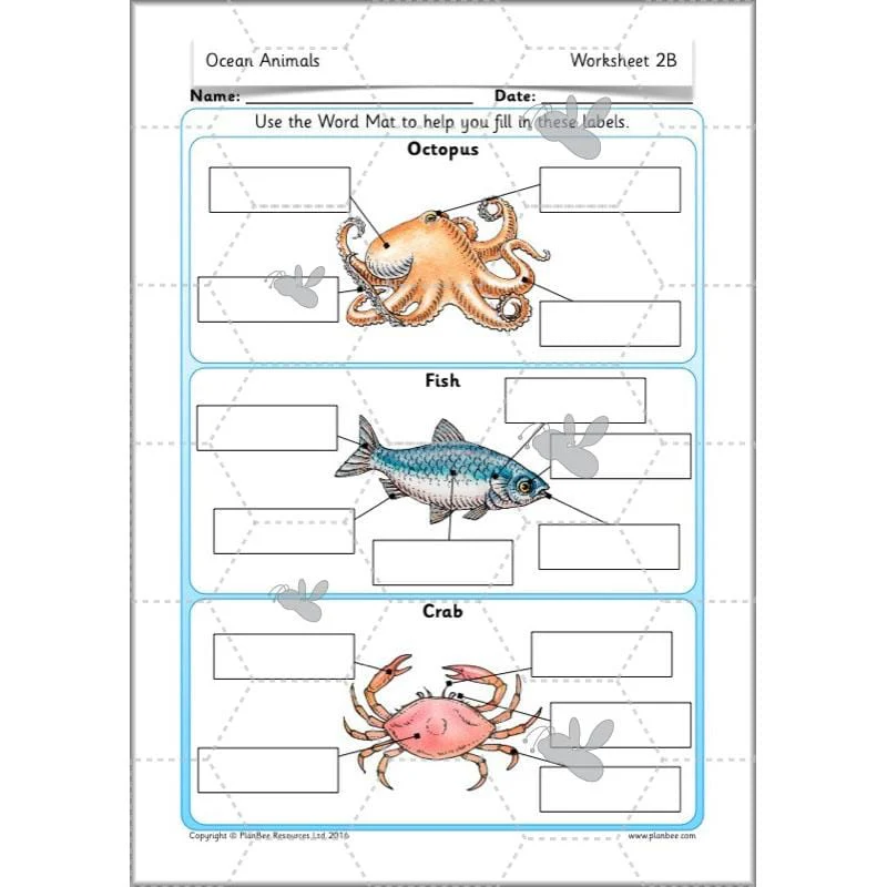 FREE Mini-Scheme: Ocean Animals - Image 9
