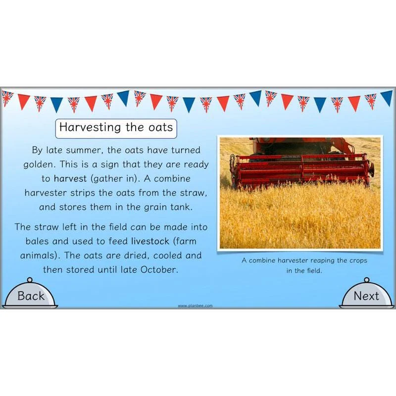 Great British Dishes - Image 39