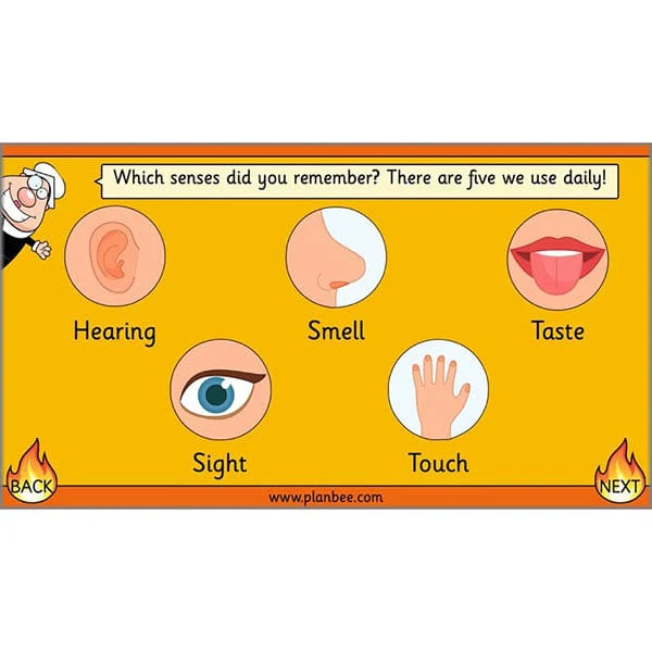 Great Fire of London: Diary Entries - Image 33