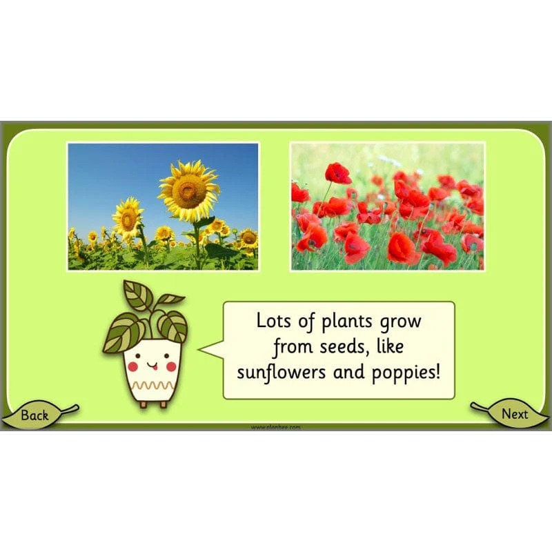 Growing Plants - Image 18
