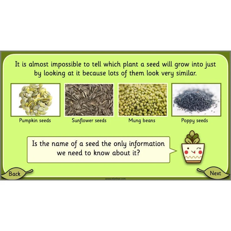 Growing Plants - Image 19