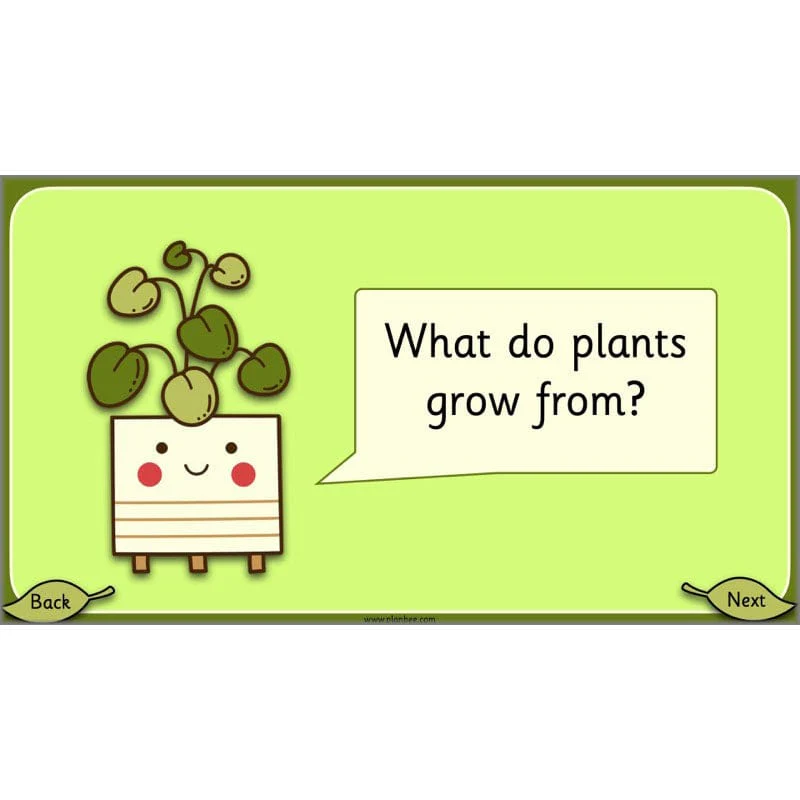 Growing Plants - Image 25