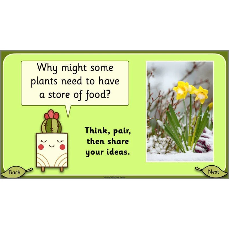 Growing Plants - Image 26