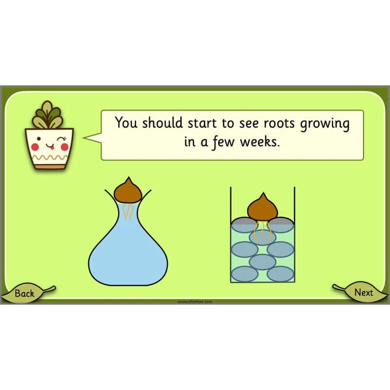 Growing Plants - Image 28