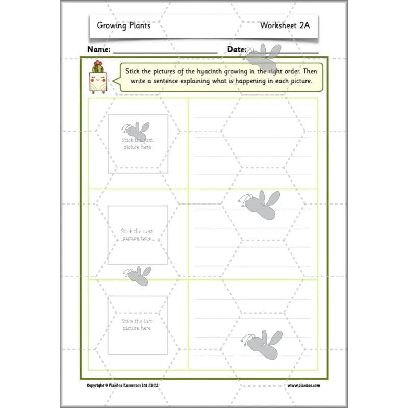 Growing Plants - Image 29