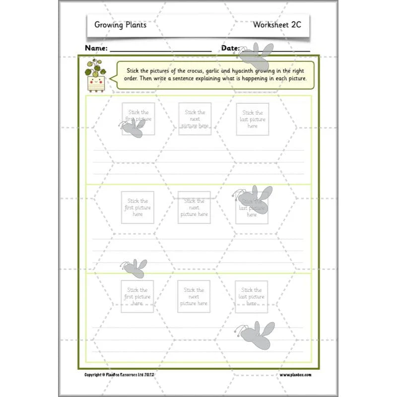 Growing Plants - Image 30