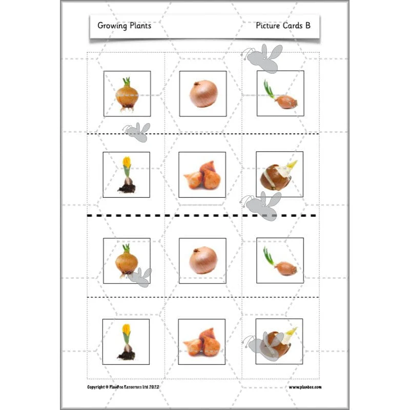 Growing Plants - Image 31