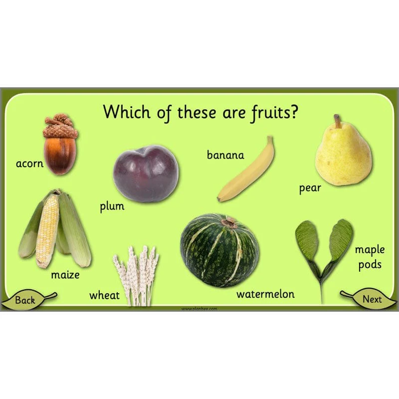 Growing Plants - Image 33