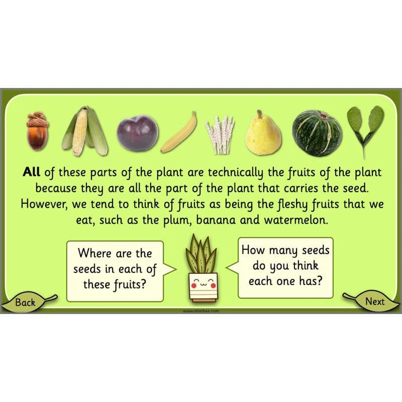 Growing Plants - Image 34