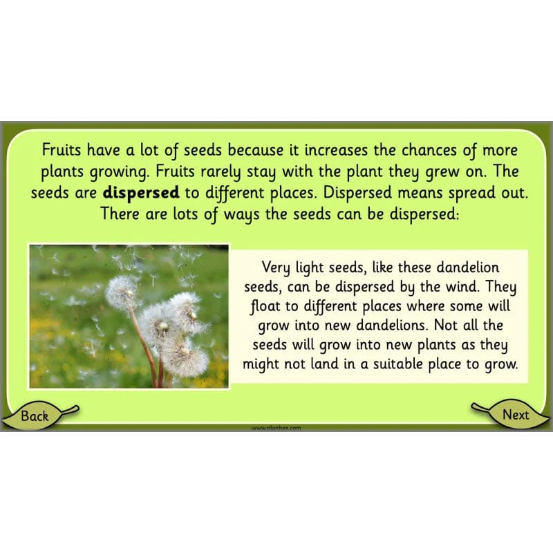 Growing Plants - Image 35