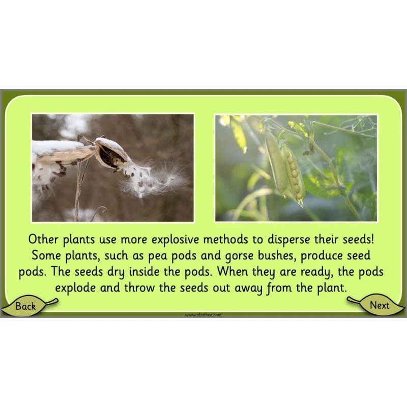 Growing Plants - Image 36