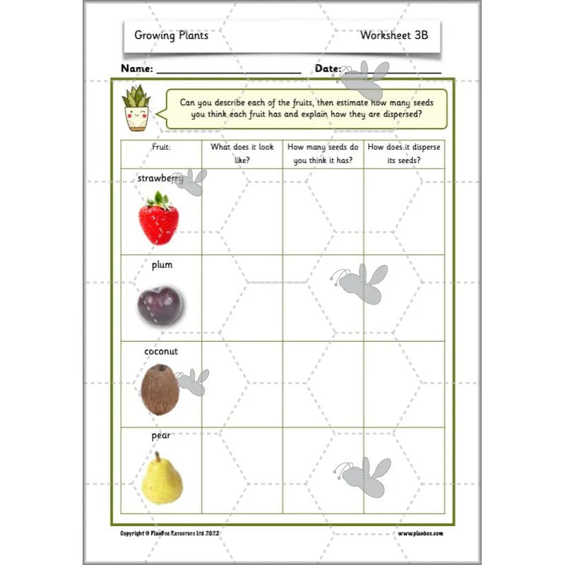 Growing Plants - Image 38