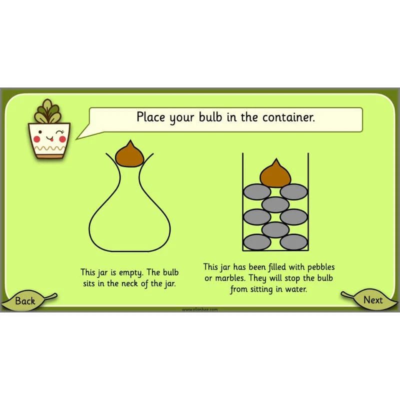 Growing Plants - Image 4