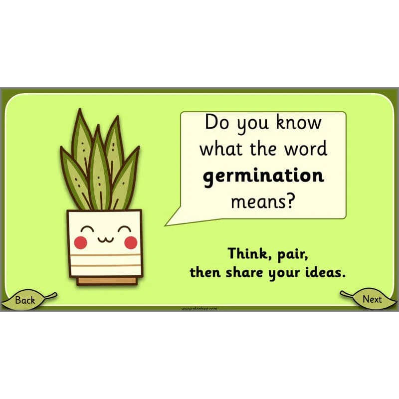 Growing Plants - Image 41