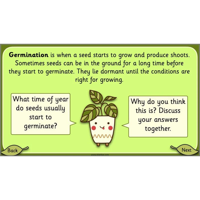 Growing Plants - Image 42