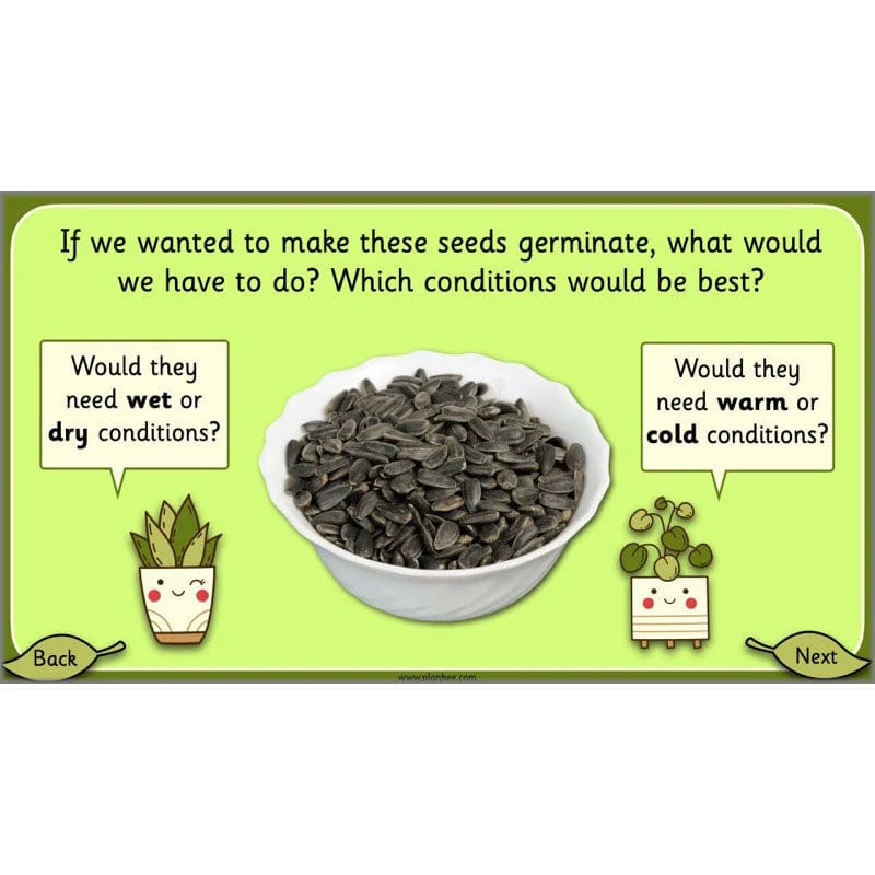 Growing Plants - Image 43
