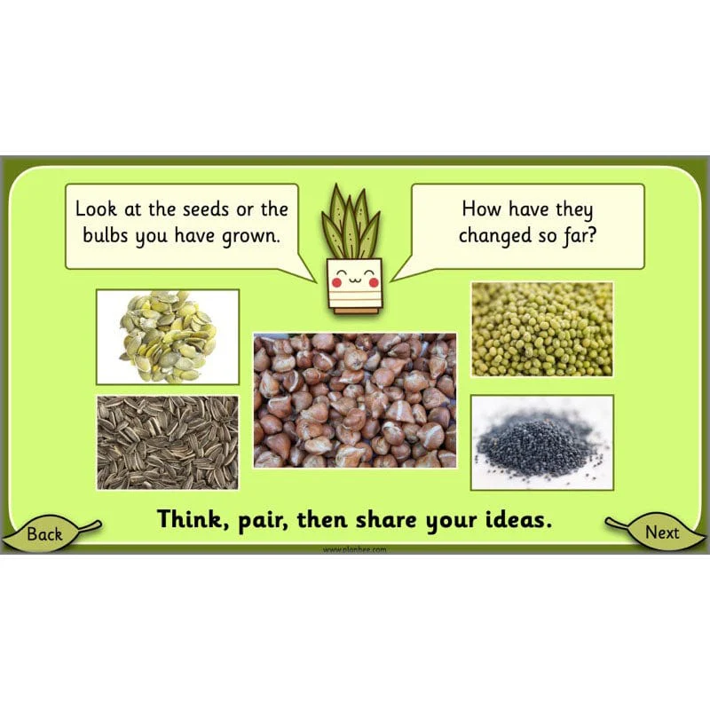 Growing Plants - Image 49