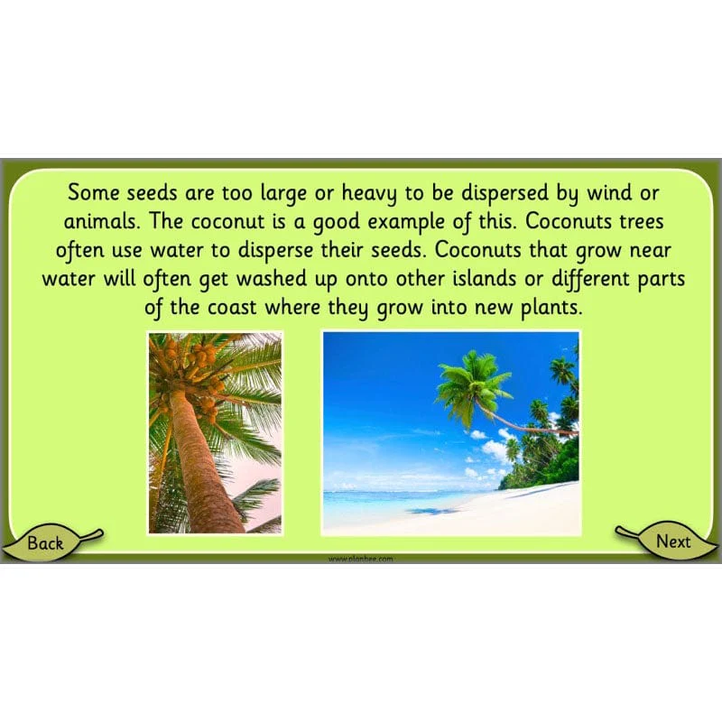 Growing Plants - Image 5