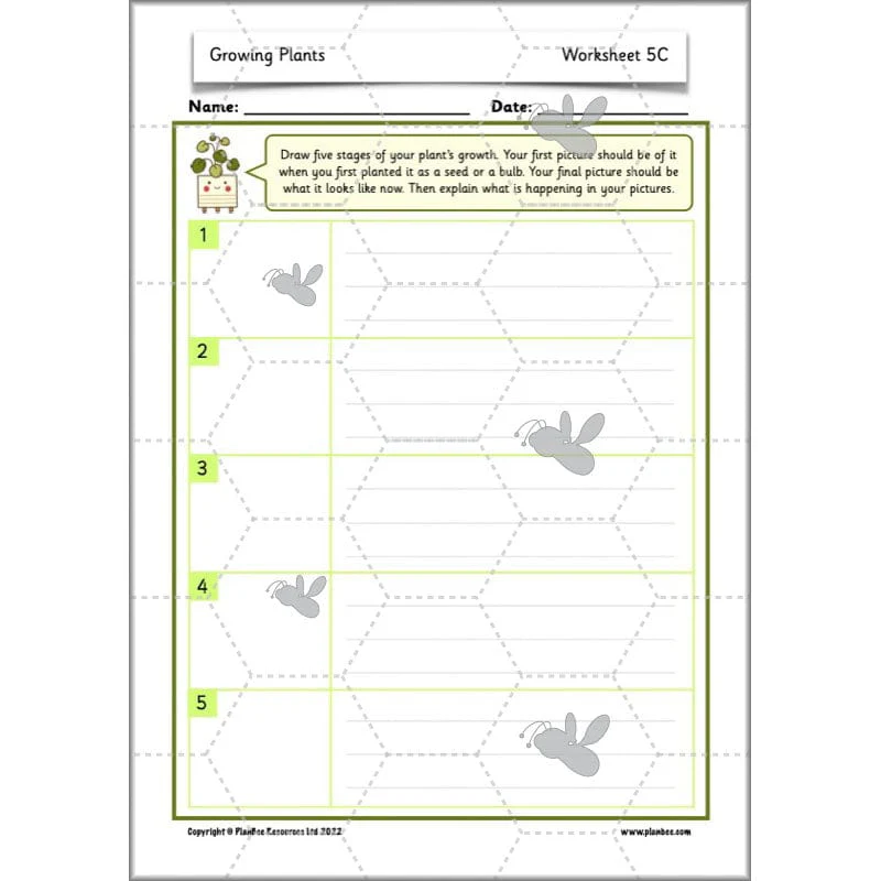Growing Plants - Image 54