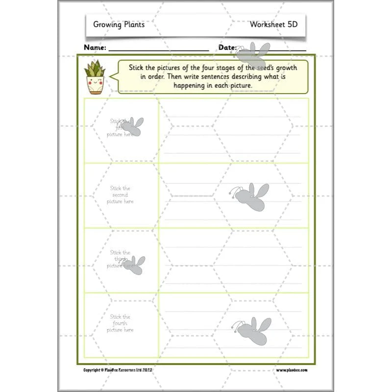 Growing Plants - Image 55