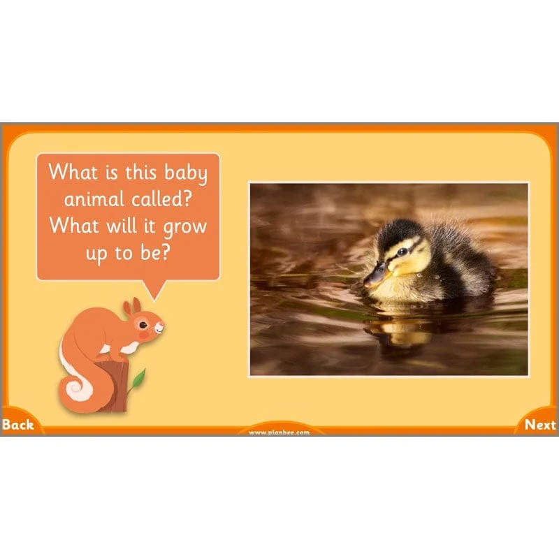Growth and Survival - Image 31