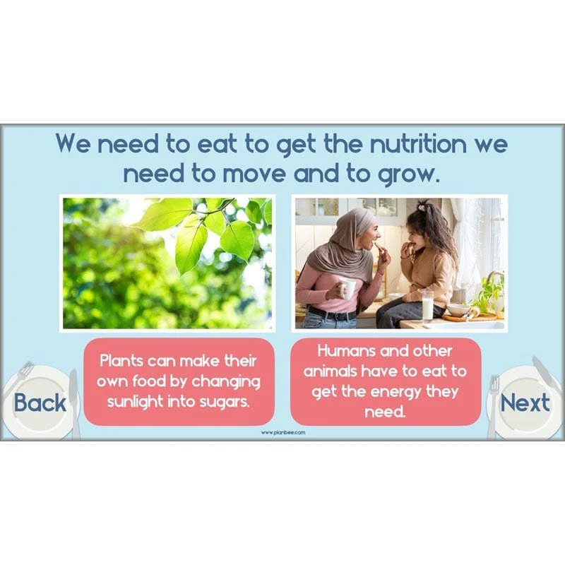 Health and Movement - Image 25