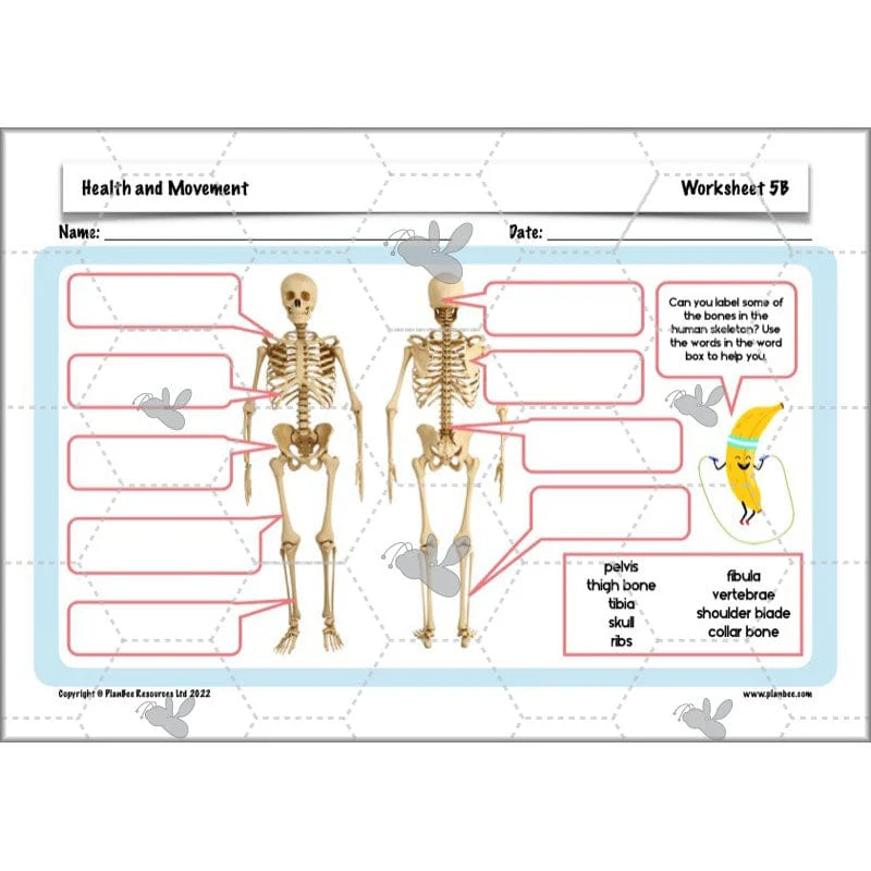 Health and Movement - Image 61