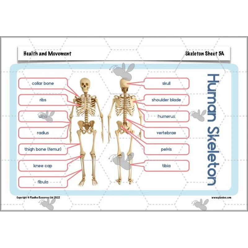 Health and Movement - Image 62