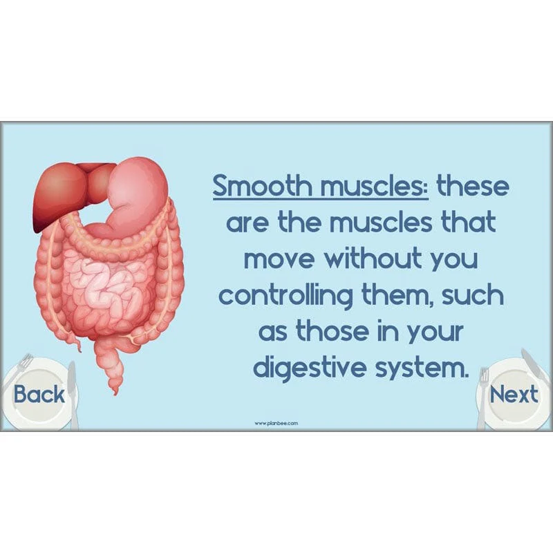Health and Movement - Image 73