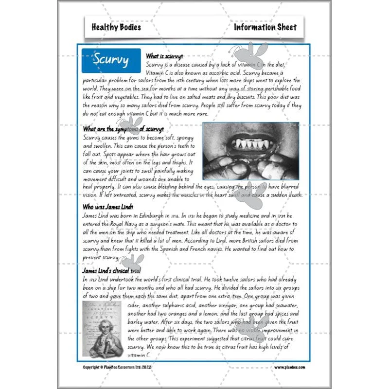 Healthy Bodies - Image 30