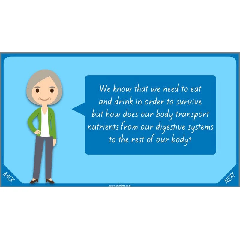 Healthy Bodies - Image 40