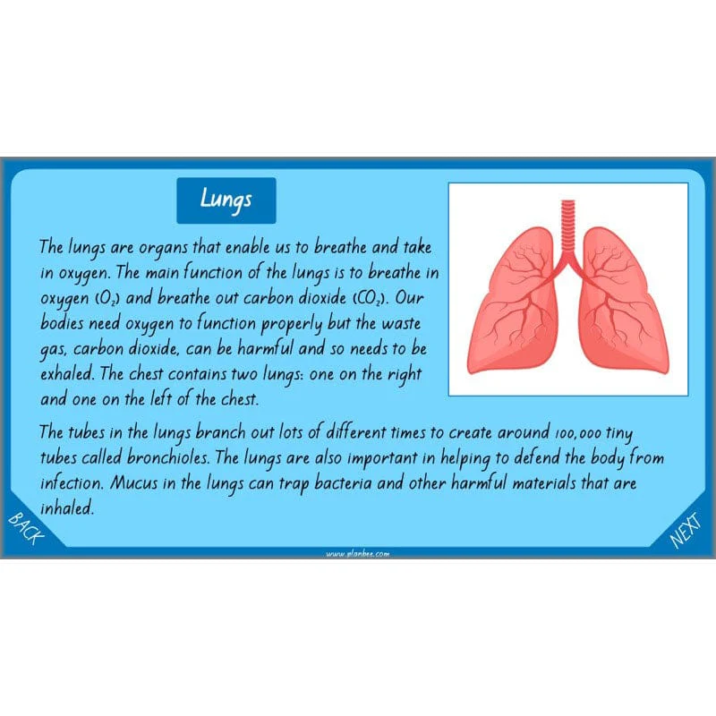 Healthy Bodies - Image 41